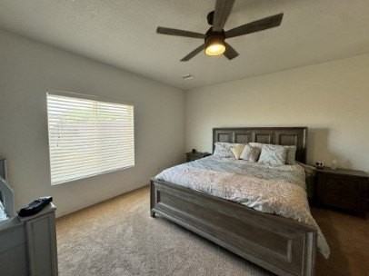 2539 Bora Trl - Photo 6 of 17