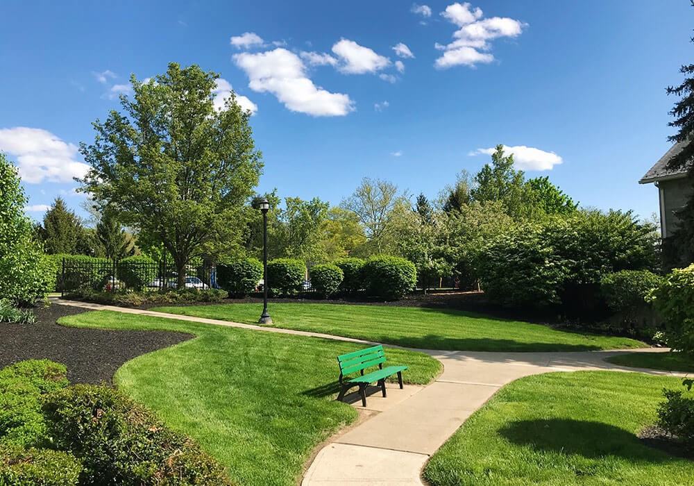 Hearthstone - Photo 4 of 4