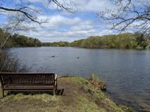 253 Main Street - Photo 1 of 1