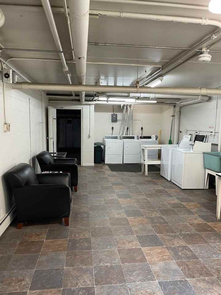 Cedars - Photo 6 of 14