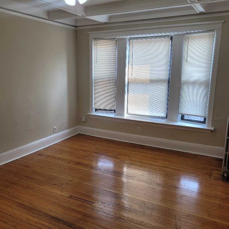 4319 S Michigan Ave #3 - Photo 3 of 16