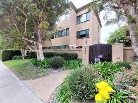 2420 Torrey Pines Rd #B204 - Photo 1 of 1