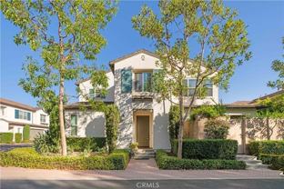 24 Lacebark - Photo 1 of 1