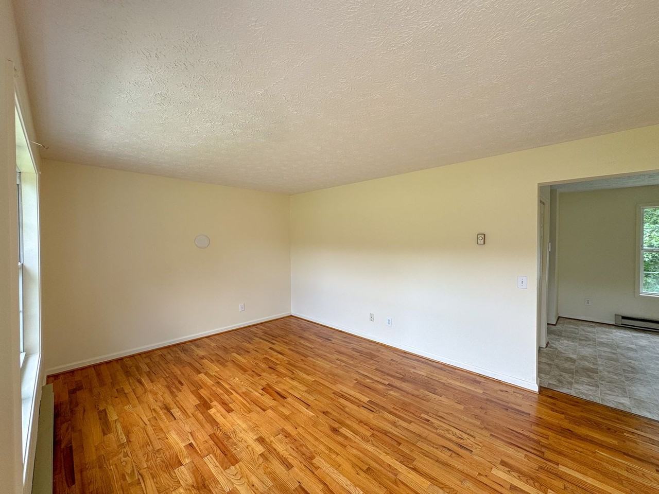 1117 Rising Sun Rd - Photo 4 of 13