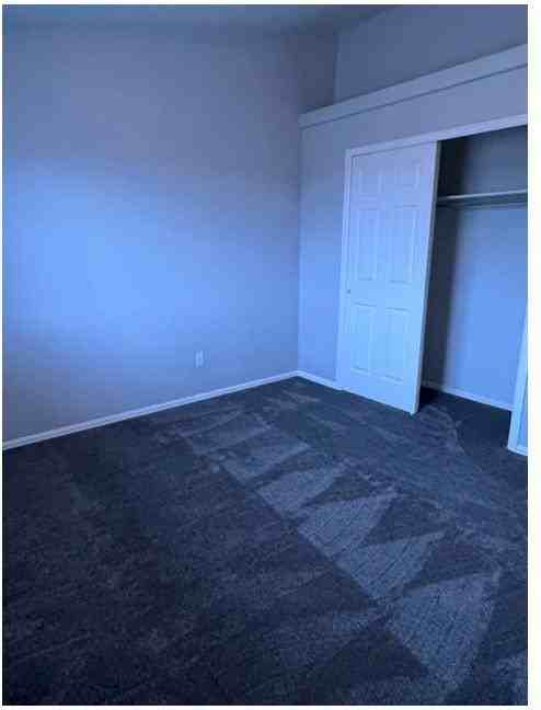 11802 Shadow Creek Ct - Photo 2 of 26