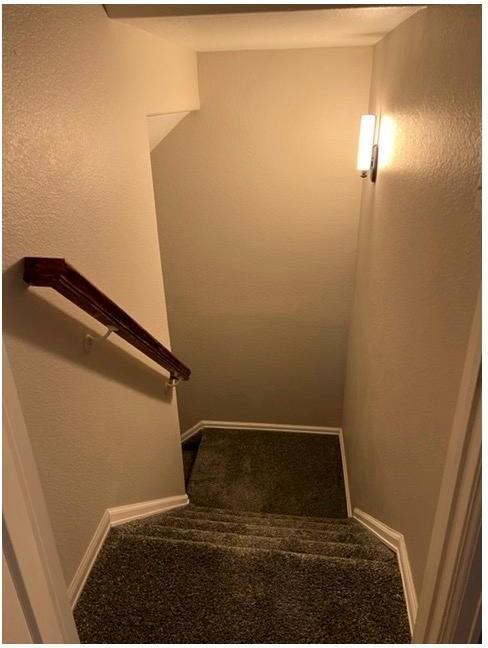 11802 Shadow Creek Ct - Photo 5 of 26