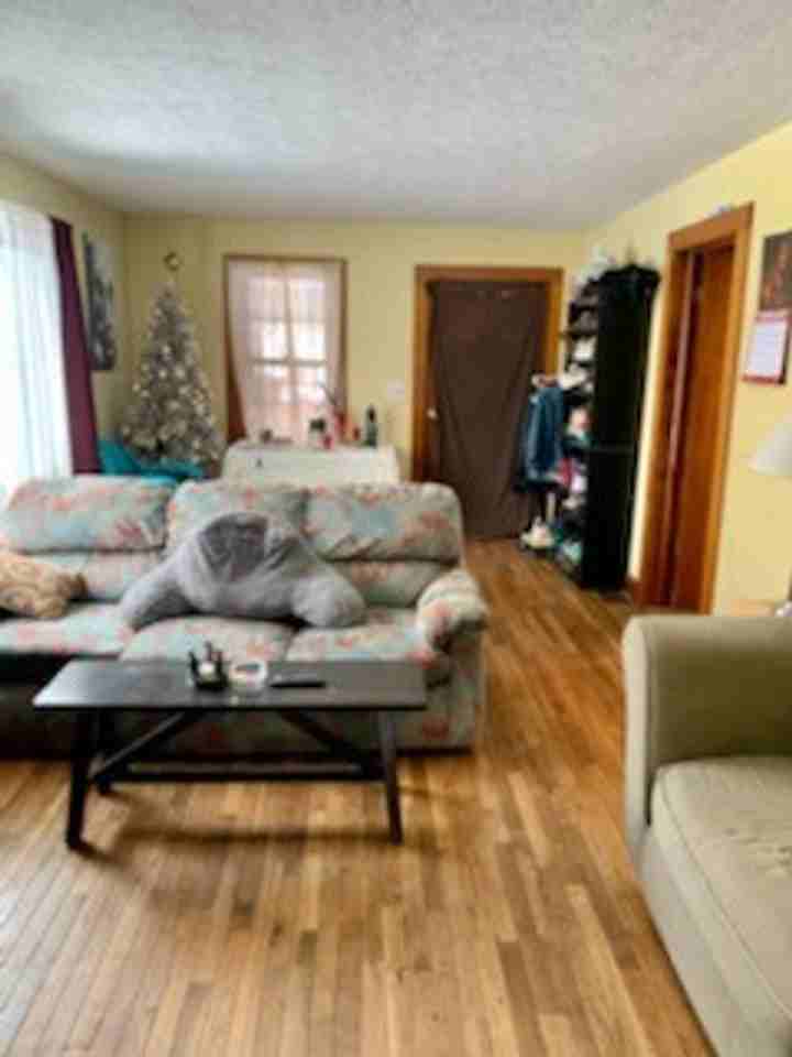 1123 N Madison St - Photo 4 of 20
