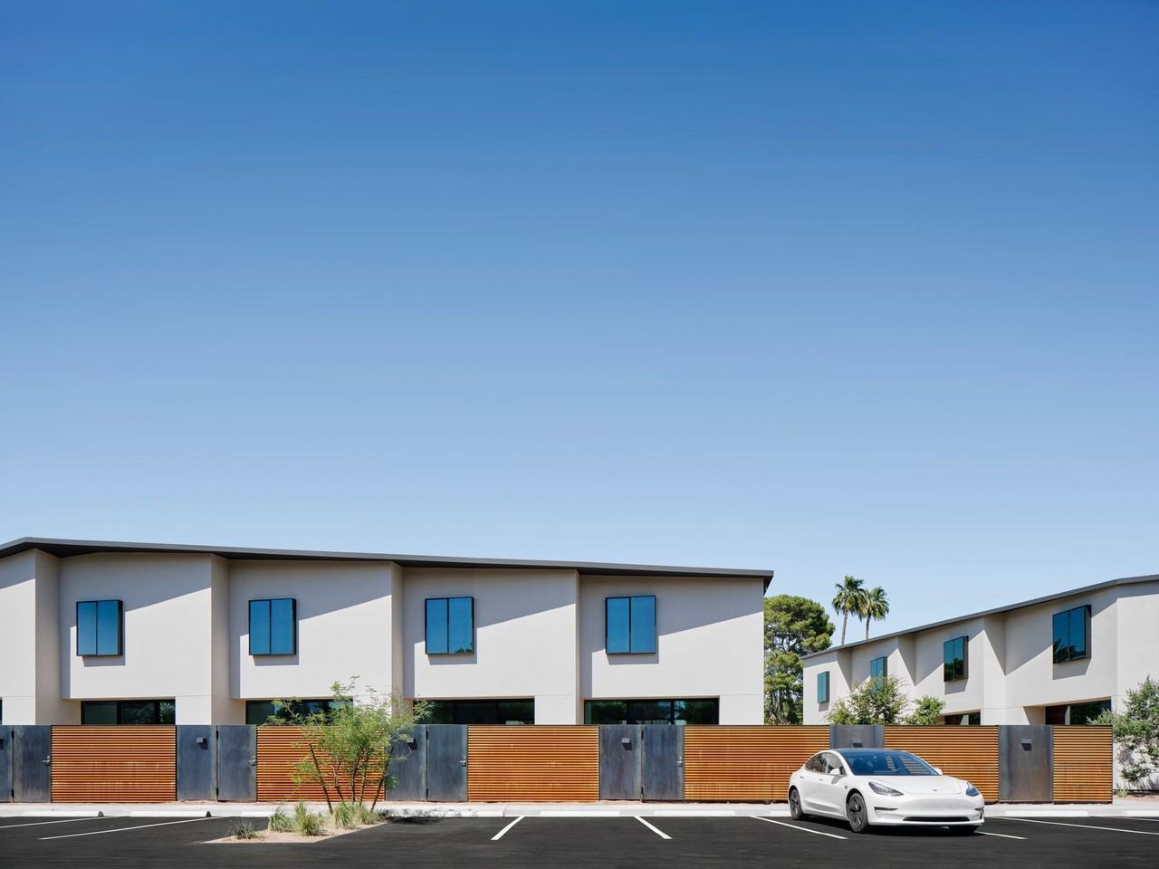 The Hollyhock Apartments - Photo 7 of 20