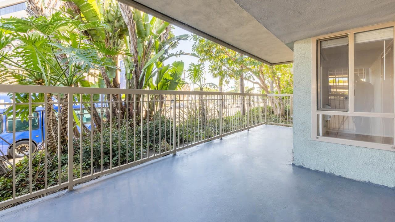 Pearl - Photo 2 of 55