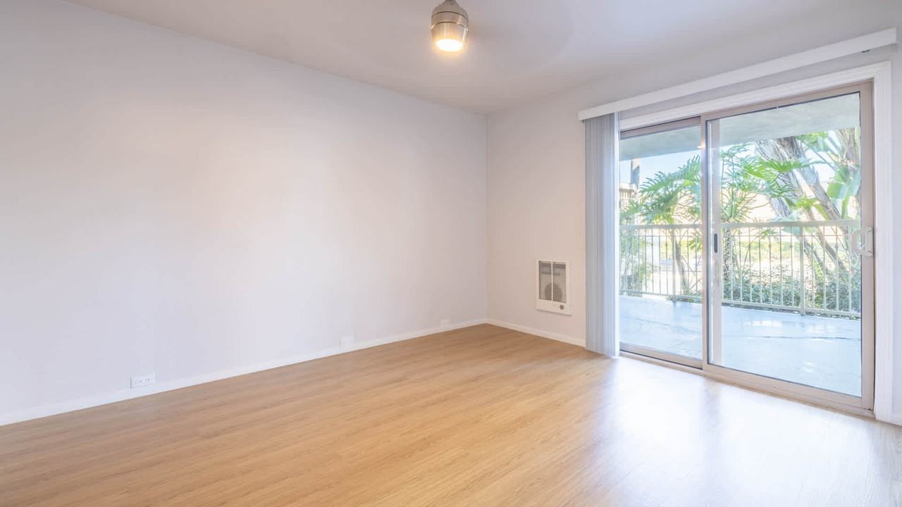 Pearl - Photo 4 of 55