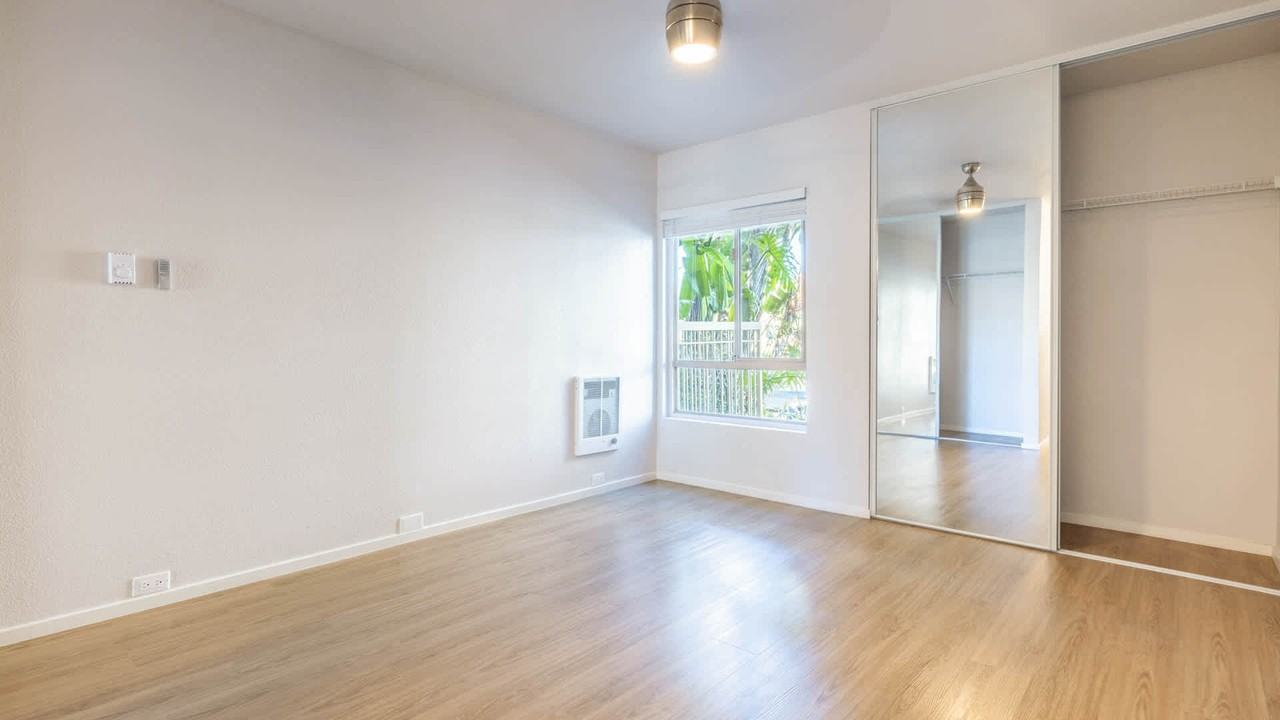 Pearl - Photo 5 of 55