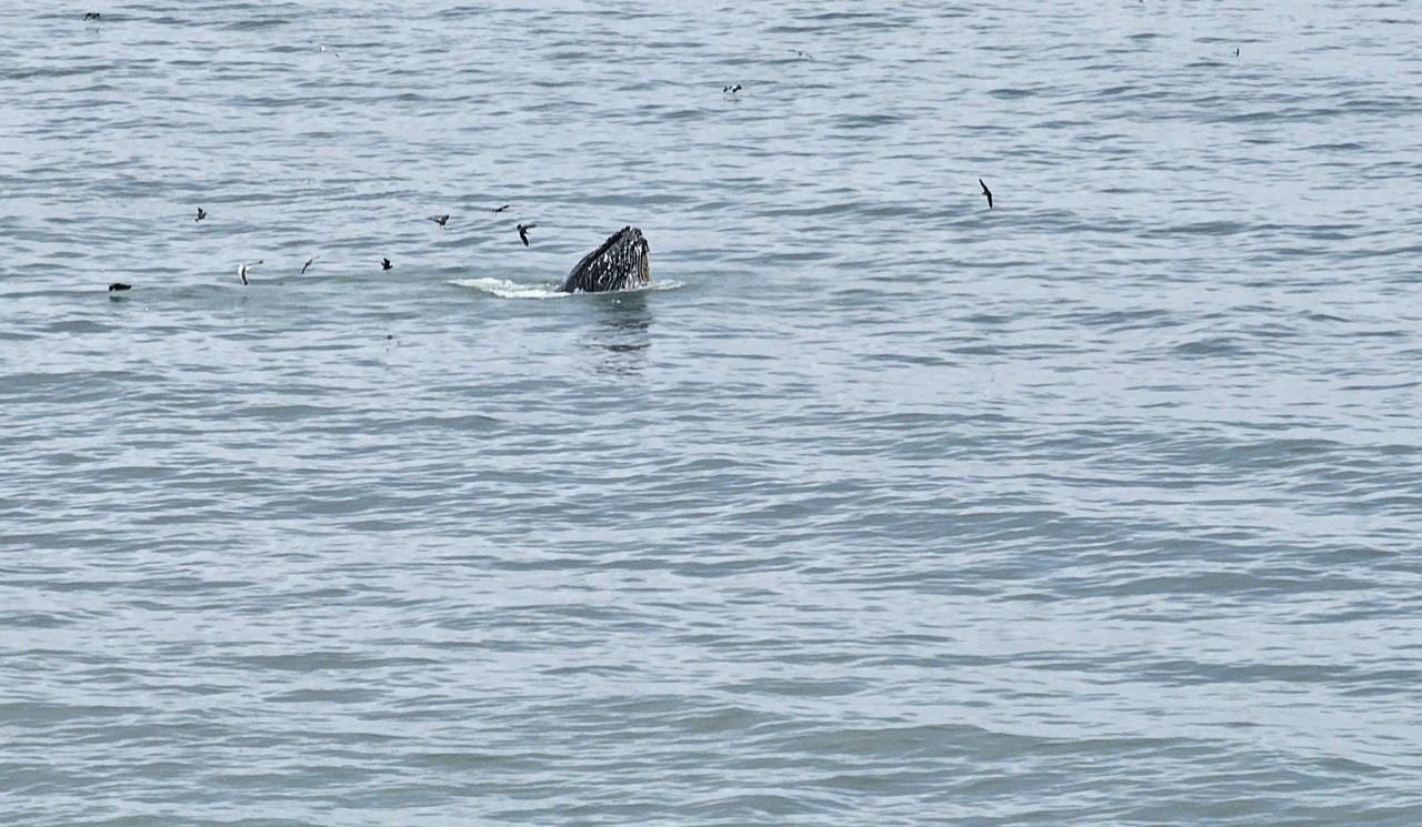 OceanAire Apartment Homes - Photo 2 of 41