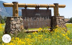 Liv Sky Cottages - Photo 1 of 1