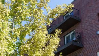 The Park Terrace - Photo 1 of 1