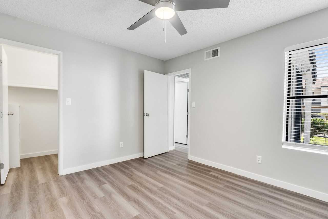 Solara - Photo 4 of 37