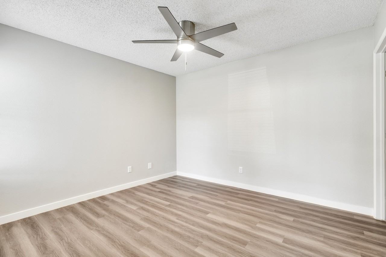 Solara - Photo 5 of 37