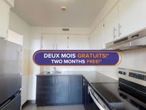 Trent & Kingsley - Photo 1 of 1