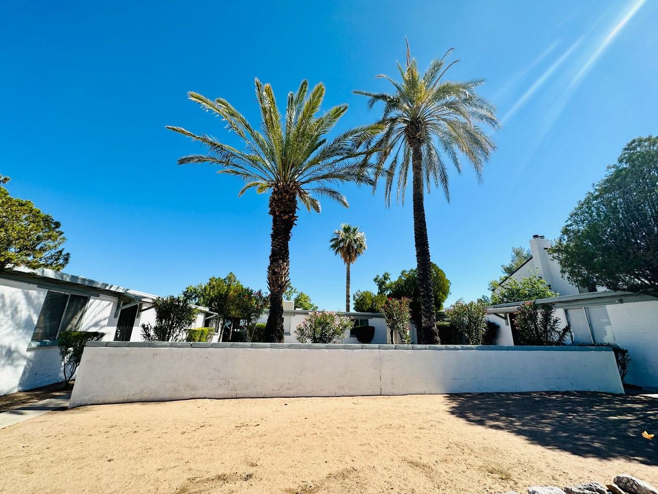 Laguna250 - Photo 3 of 4