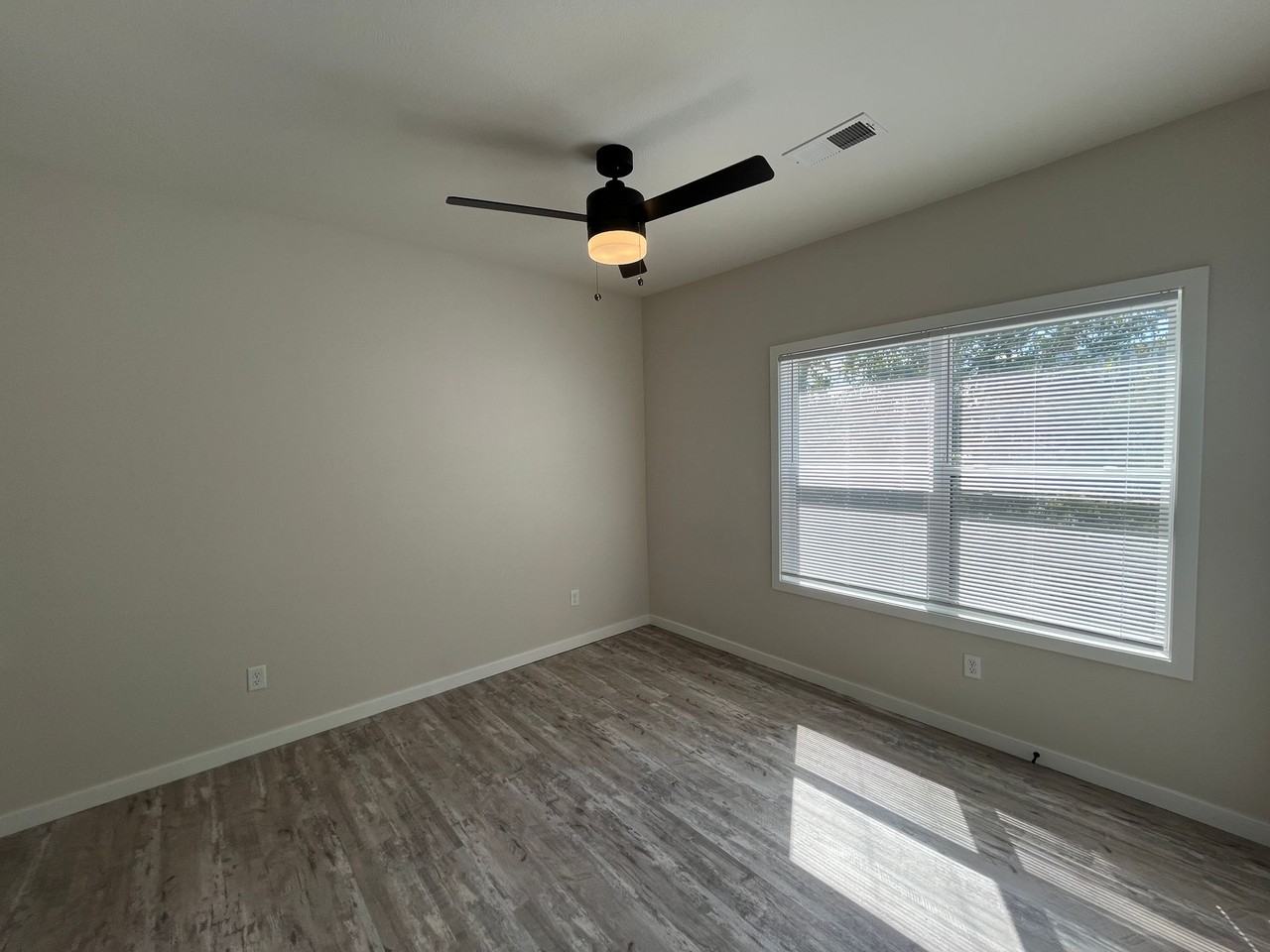 The Vegas - Photo 2 of 12