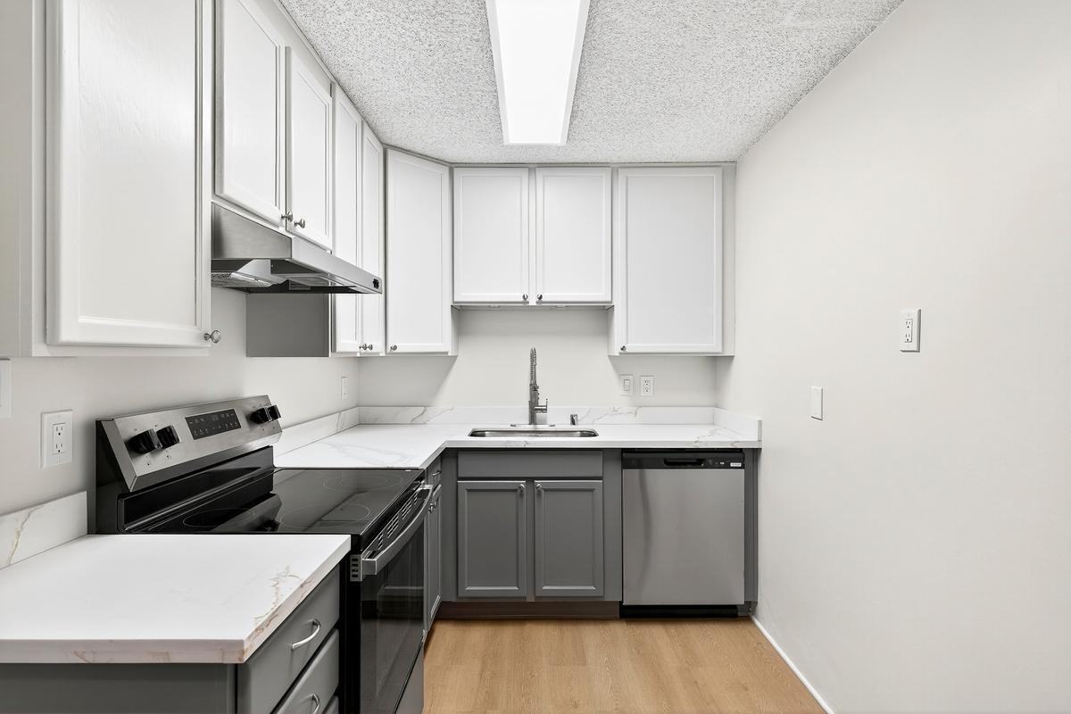 175/195 Nova Albion Way - Photo 7 of 26