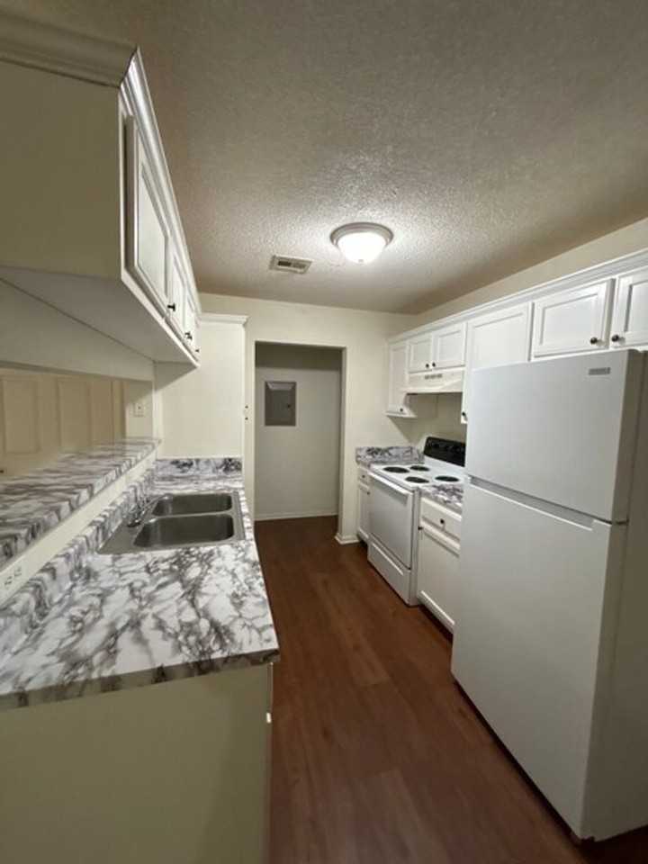 Remington - Photo 3 of 7