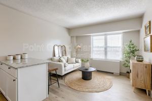 featured image of 7300 Graceland Dr #201