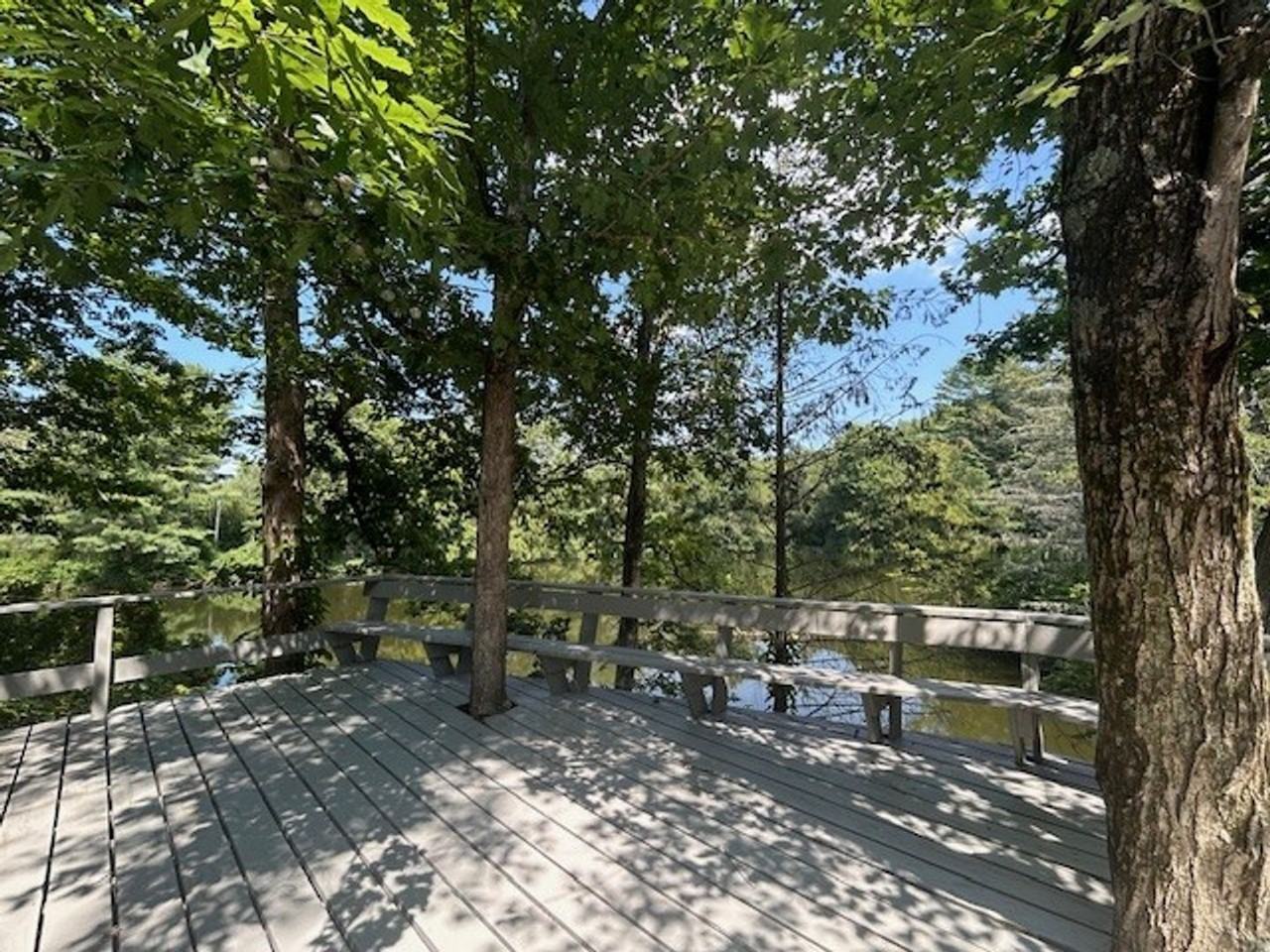 272 Drake Rd - Photo 4 of 39