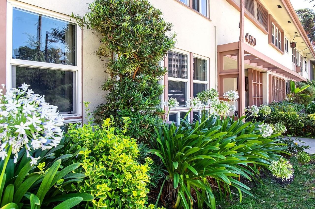 los442 - Photo 5 of 32