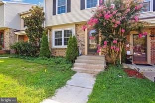 12627 Black Saddle Ln - Photo 1 of 1