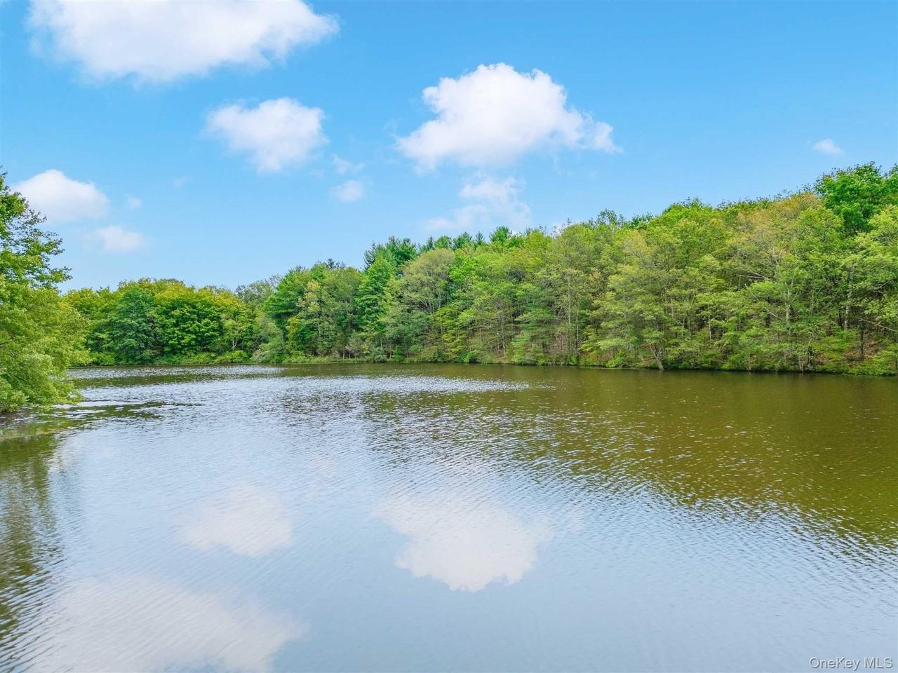 238 Pumpkin Ln Rear - Photo 4 of 36