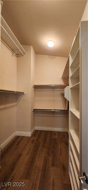 2560 Deer Season Street - Photo 7 of 20