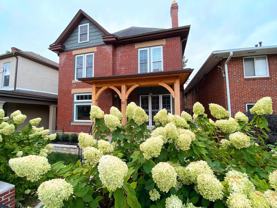 41 Euclid Ave - Photo 1 of 1