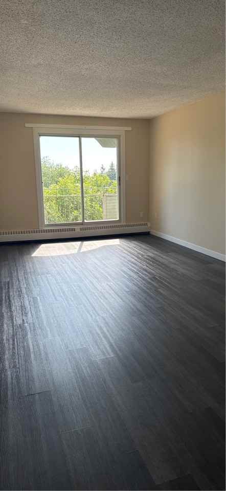 5310 46 Street - Photo 5 of 19