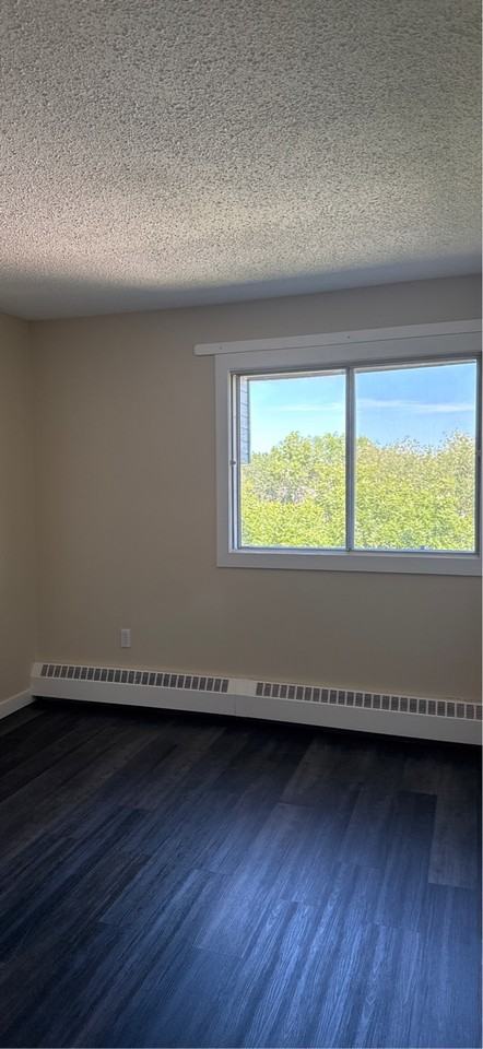 5310 46 Street - Photo 7 of 19