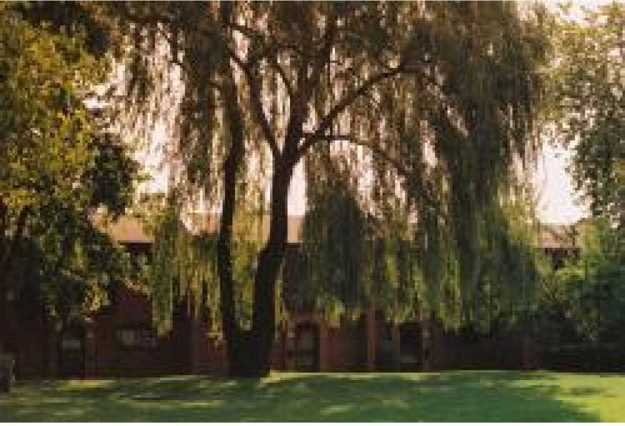 205 Av Frobisher - Photo 6 of 15