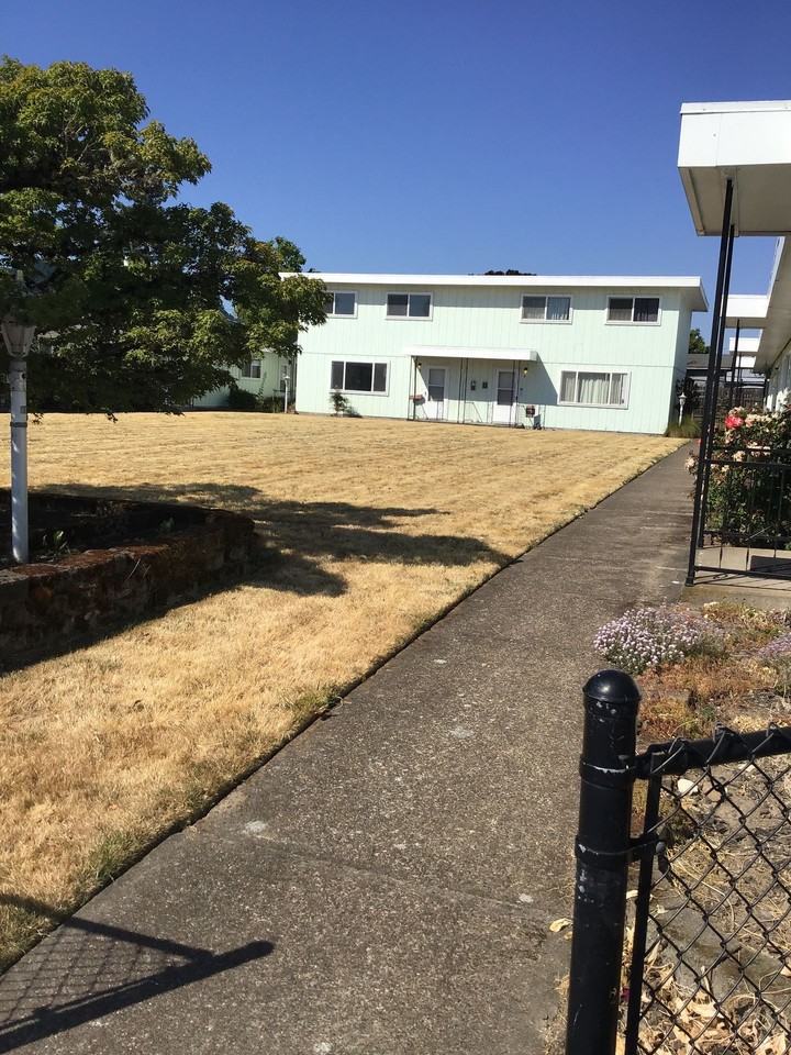 P 146 - Photo 4 of 6