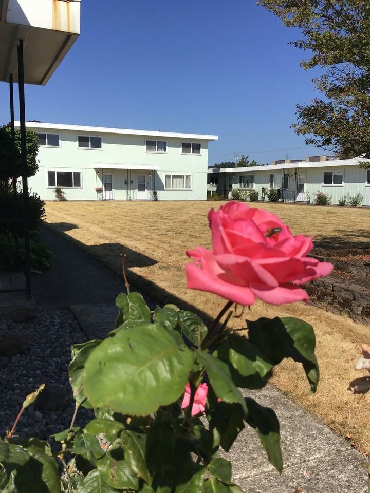 P 146 - Photo 6 of 6