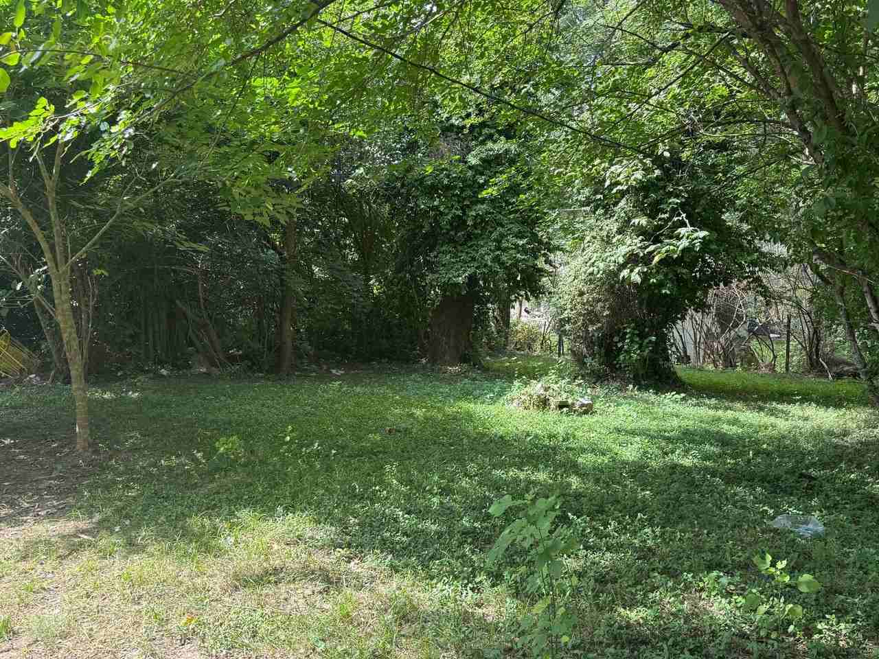 10113 Duke Dr - Photo 3 of 10