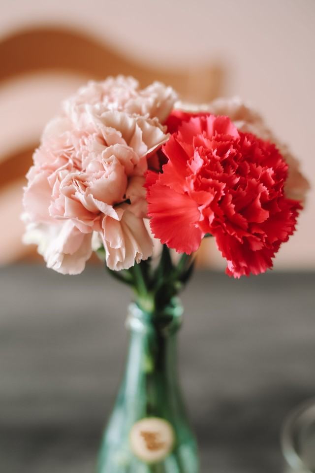 6520 Costa Dr #3 - Photo 3 of 19