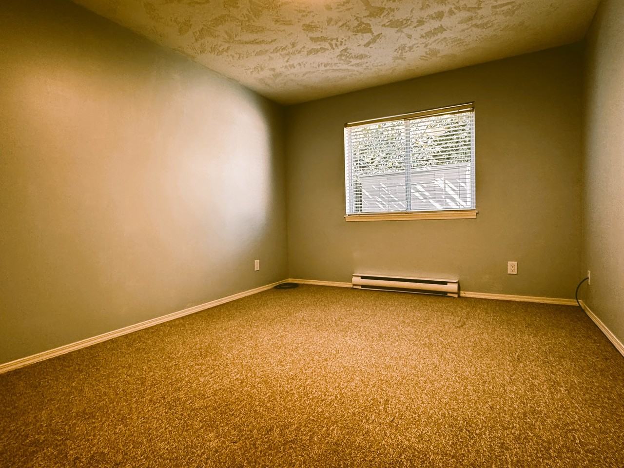 1963B Noort Pl #1 - Photo 3 of 7