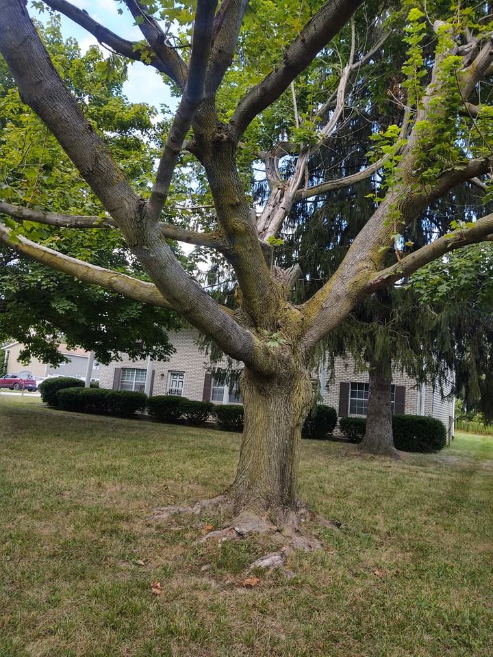 10576 Market Avenue North - Photo 3 of 8