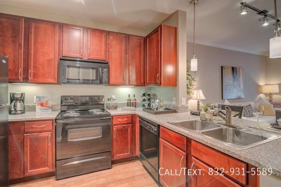 19400 Bellaire Blvd #DGM1