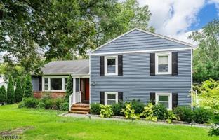 featured image of 299 Springfield Ave