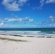 4100 N Highway A1a #113 - Photo 1 of 1