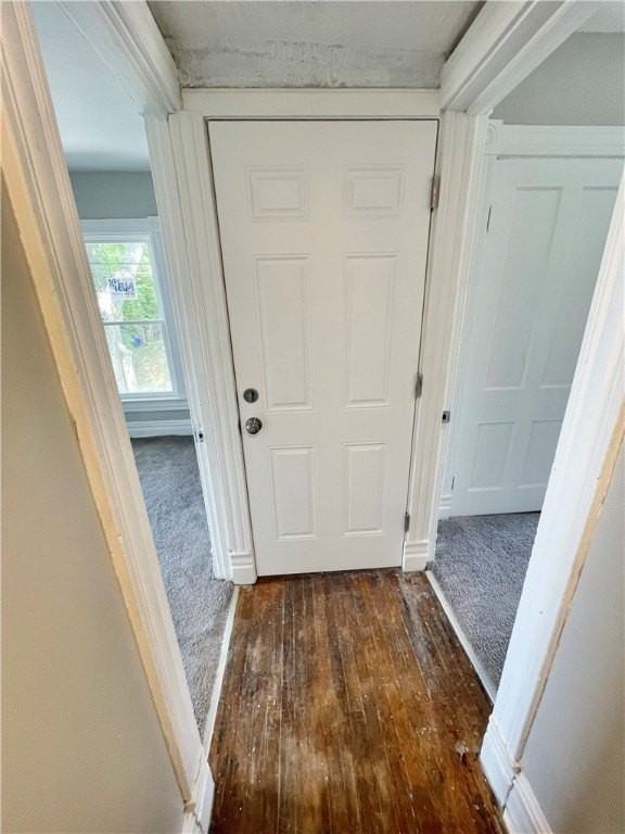 811 Carlisle St #2 - Photo 4 of 25