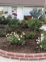 6204 Avenida Ganso #NA - Photo 1 of 1