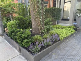 240 Robert Street - Photo 1 of 1