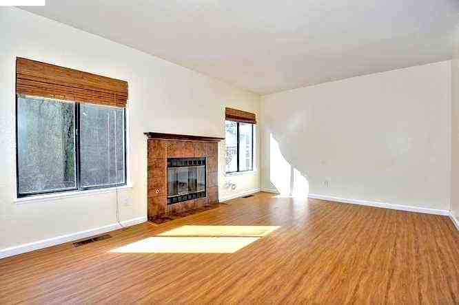 Gazania Ter #39 - Photo 2 of 22