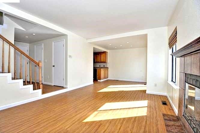 Gazania Ter #39 - Photo 3 of 22