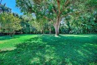 100 N Hibiscus Ct - Photo 1 of 1